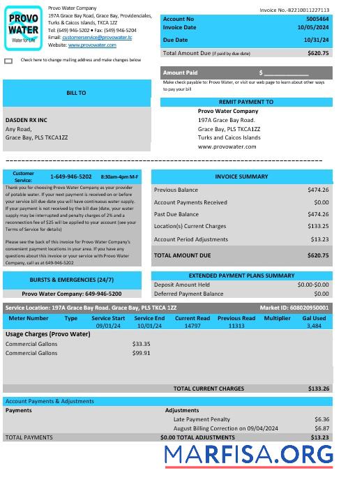 Blank United Kingdom Turks and Caicos Islands Provo Water Company business utility bill Word and PDF template